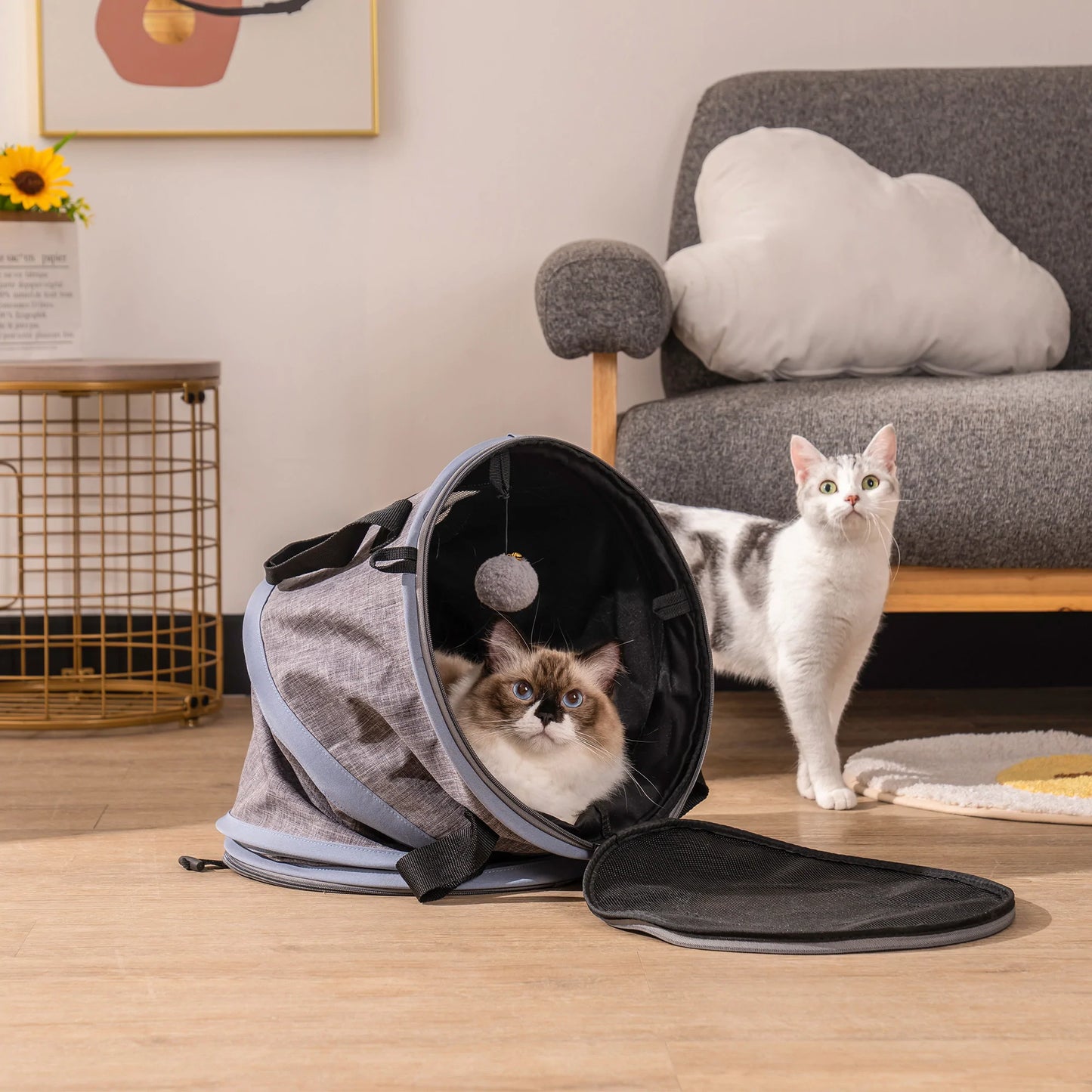 Foldable Tunnel Pet Travel Carrier Bag with Plush Balls in Gray