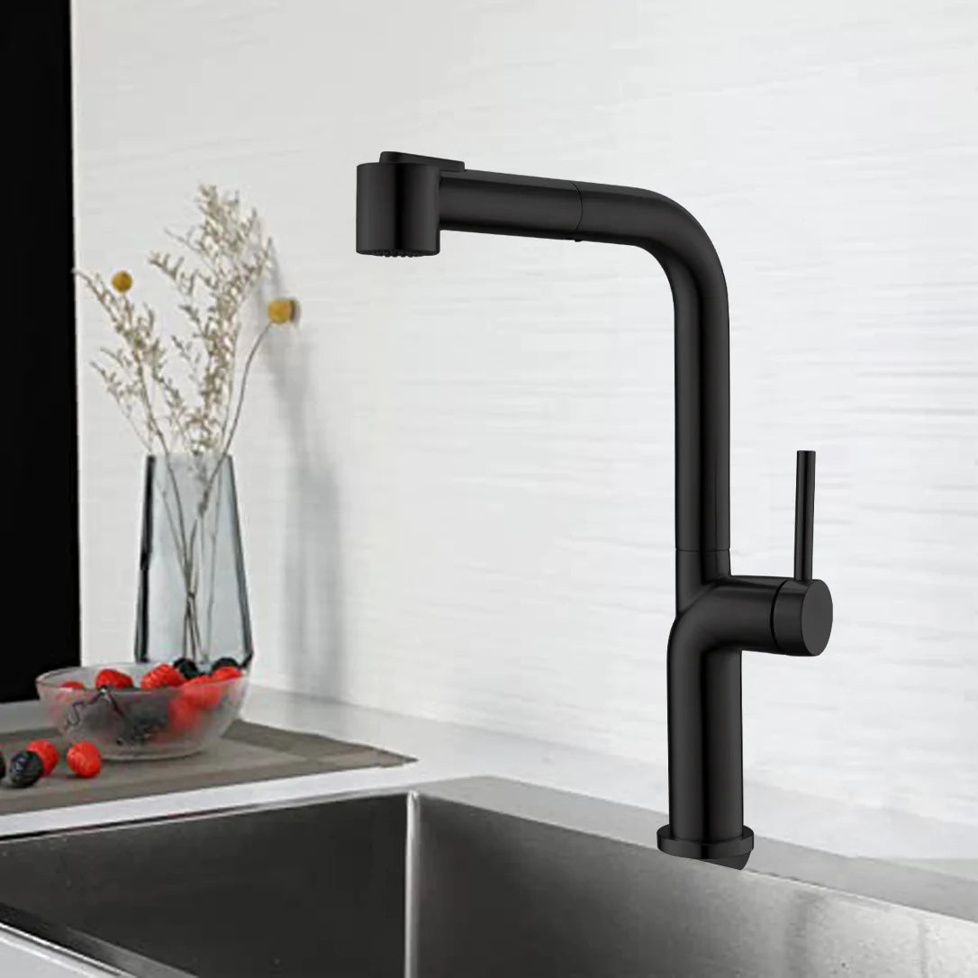 Kitchen Faucet Pull Out Single Handle in Matte Black