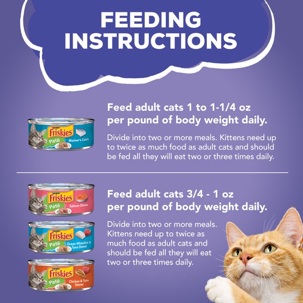Friskies Pate Wet Pet Food in 40 Pack