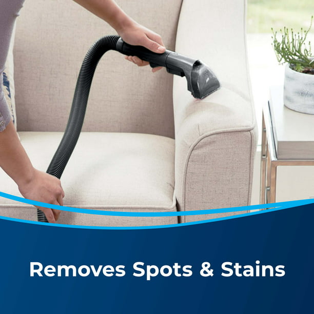 Portable Carpet Cleaner Little Green