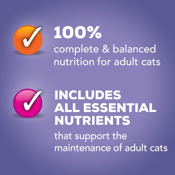 Friskies Pate Wet Pet Food in 40 Pack