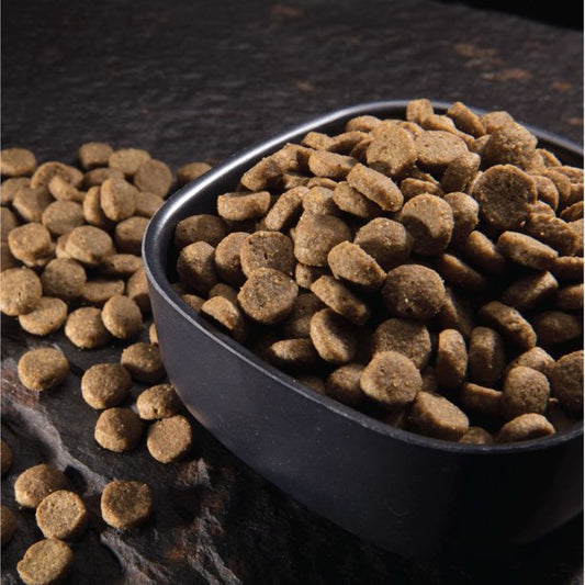 Adult Dry Pet Food with Protein