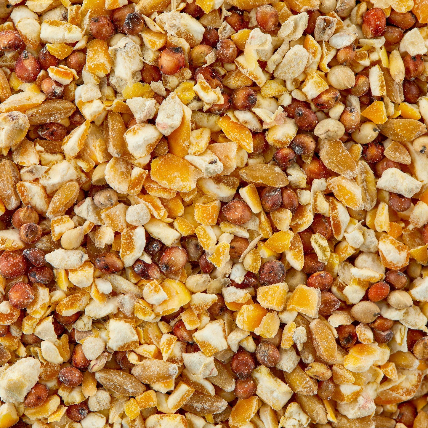 Poultry Scratch Grains in 40 lb
