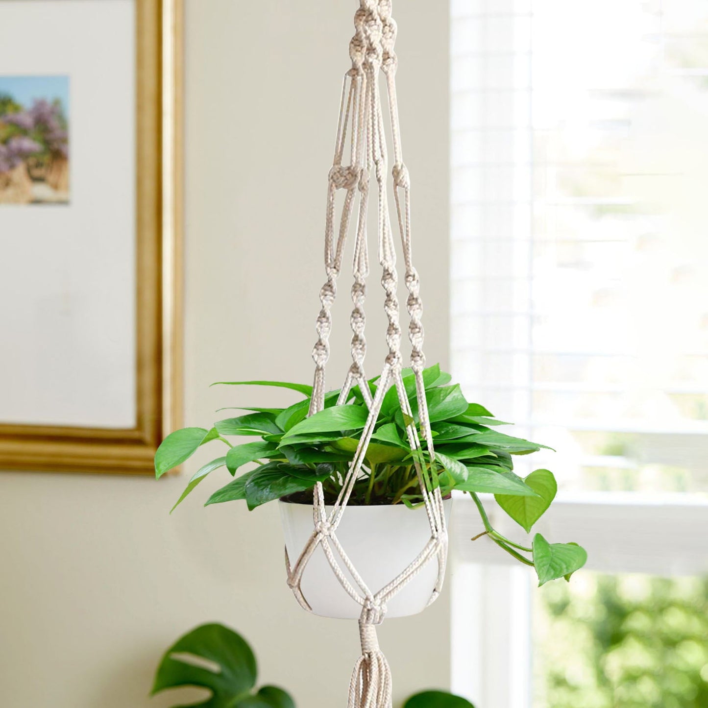 Hanging Baskets for Plant Succulents Cacti Herbs