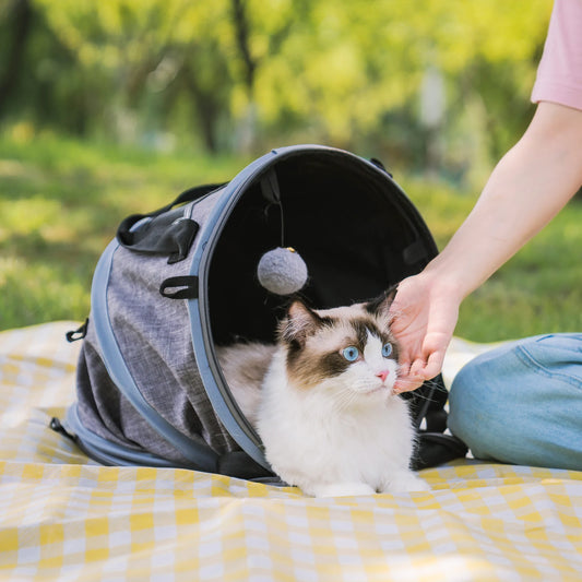 Foldable Tunnel Pet Travel Carrier Bag with Plush Balls in Gray