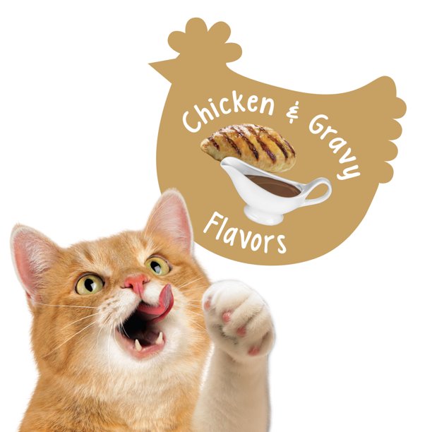 Pet Treats Gravylicious Flavors in 6 oz