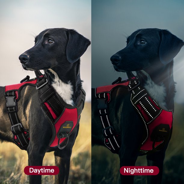 Dog Chest Harness Adjustable for Small Dog Red in Medium