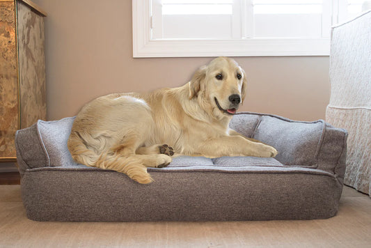 Sofa and Couch Style Pet Bed Medium