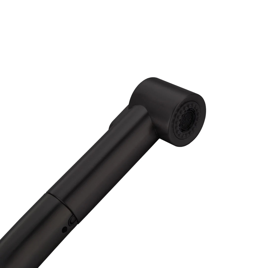 Kitchen Faucet Pull Out Single Handle in Matte Black