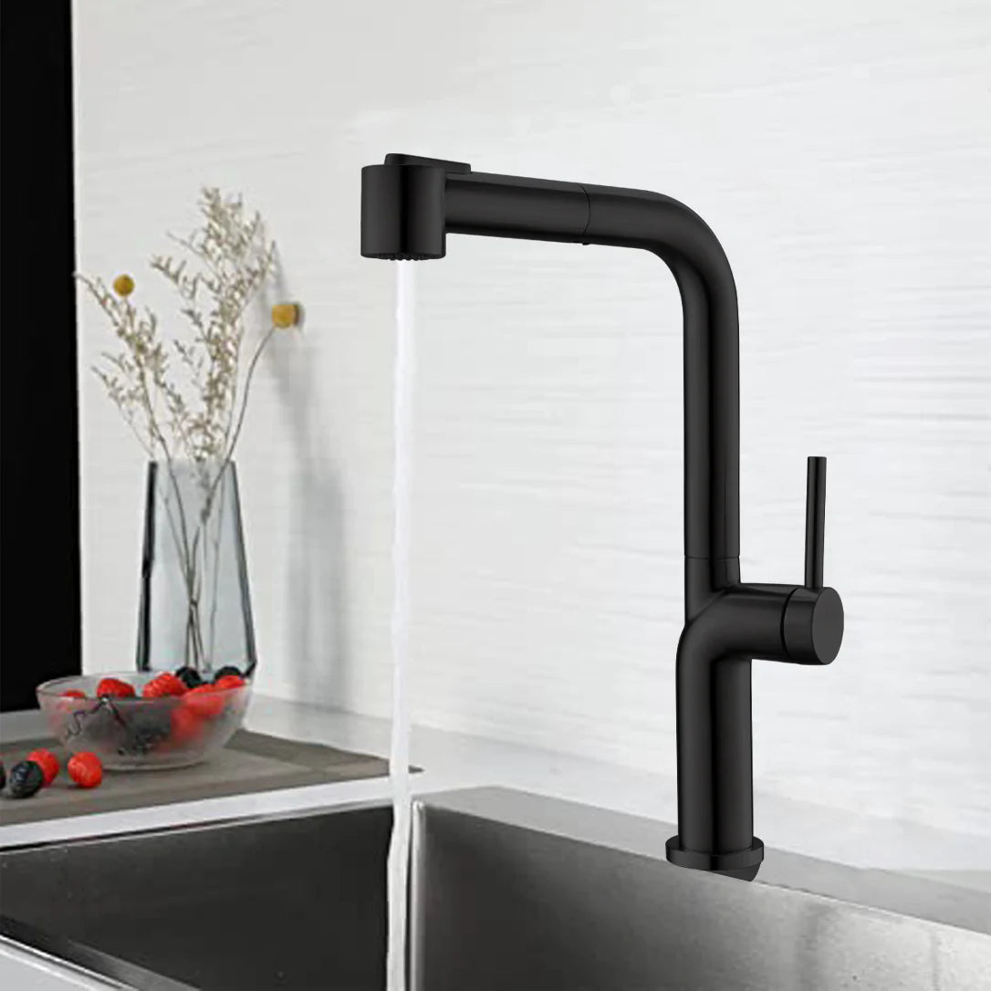 Kitchen Faucet Pull Out Single Handle in Matte Black
