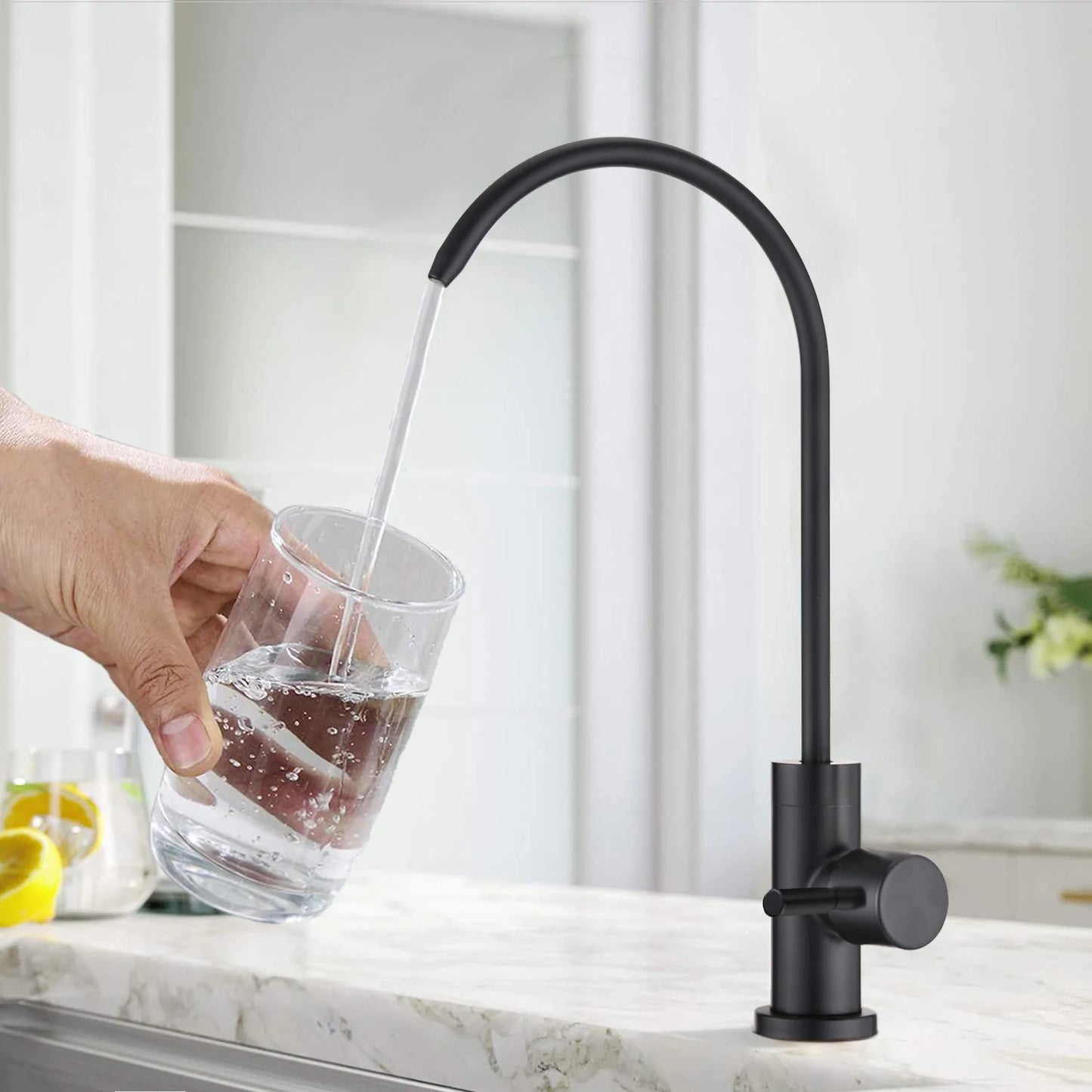 Kitchen Faucet in Matte Black