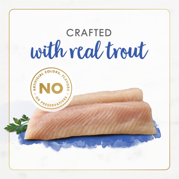 Pet Food in Rainbow Trout 3 oz Cans 12 Packs