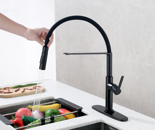 Kitchen Faucet Single Handle in Black