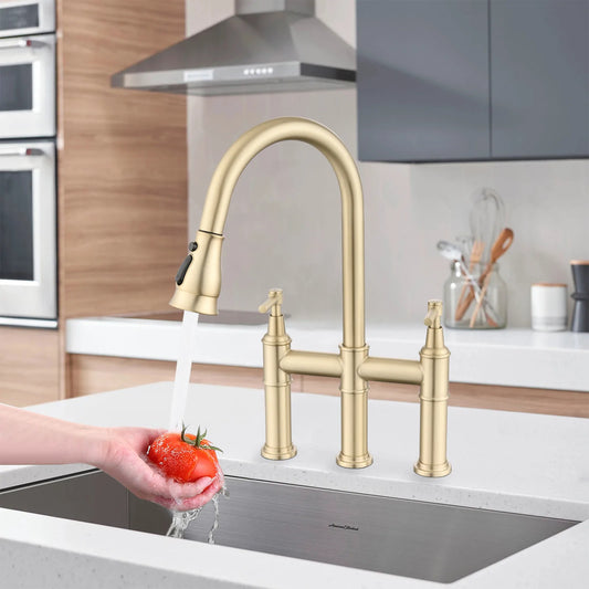 Kitchen Faucet Double Handle With Pull Down Spray Head in Brushed Gold