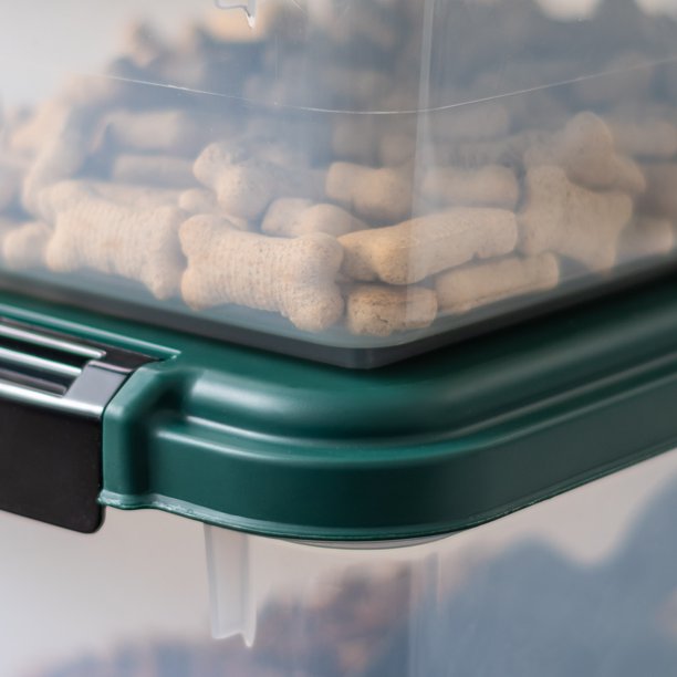 Pet Food Container 3 Pieces in Green Clear
