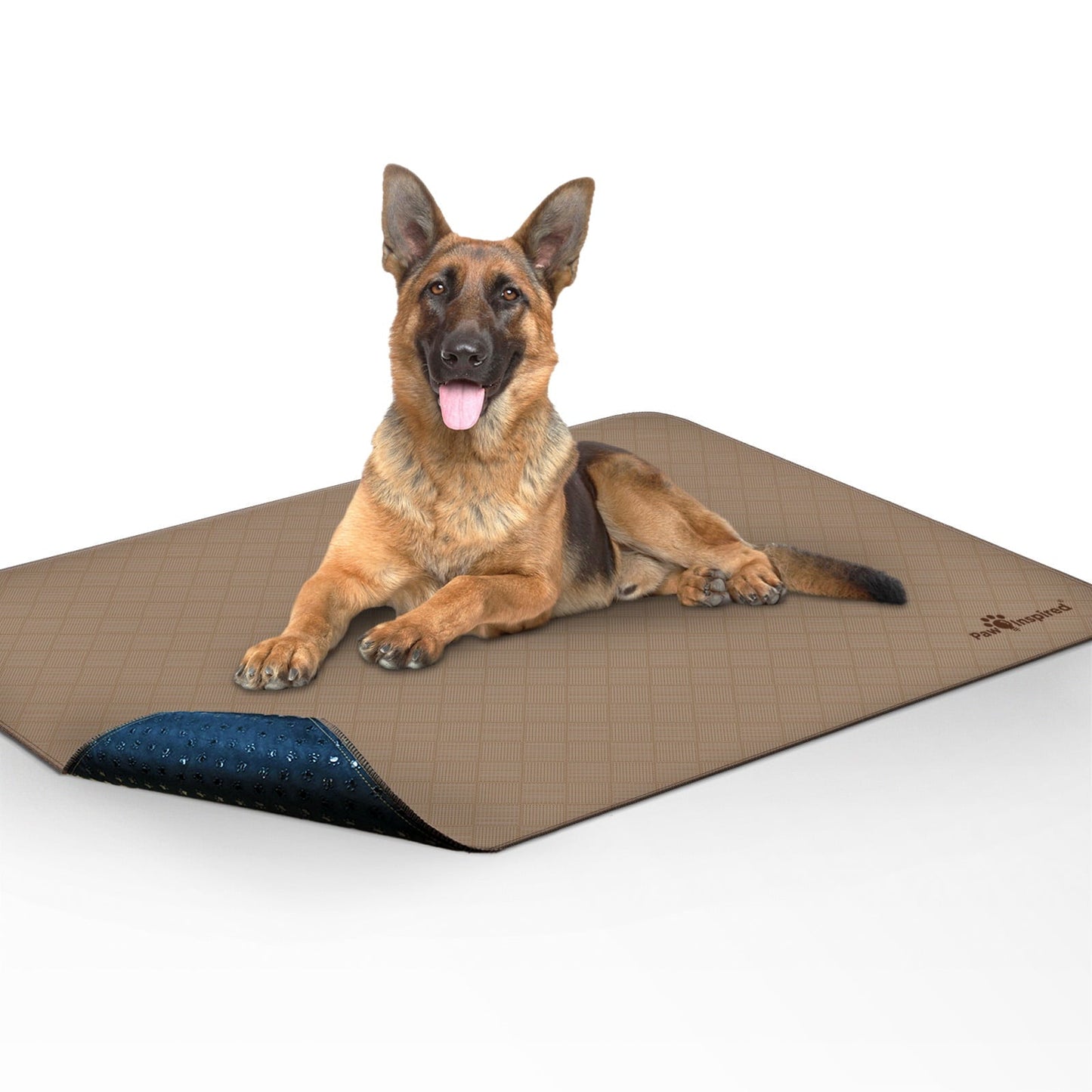 Dog Pads Washable Reusable 48 x 60 Inches