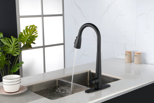 Kitchen Faucets with Pull Down Sprayer in Black