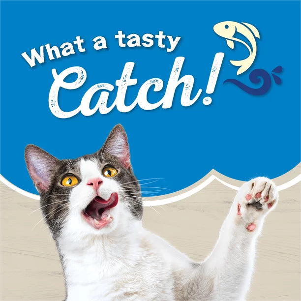 Dry Pet Food Salmon And Brown Rice Flavor in 3.15 Pounds