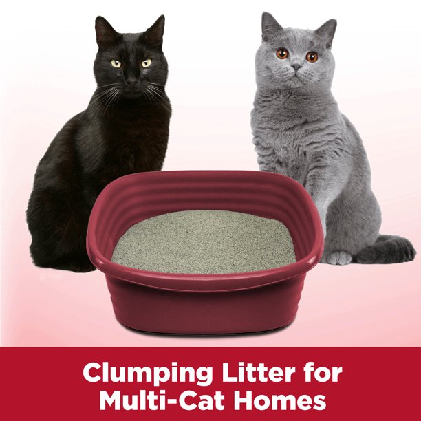 Clumping Pet Litter 14 Pounds in Multicolor