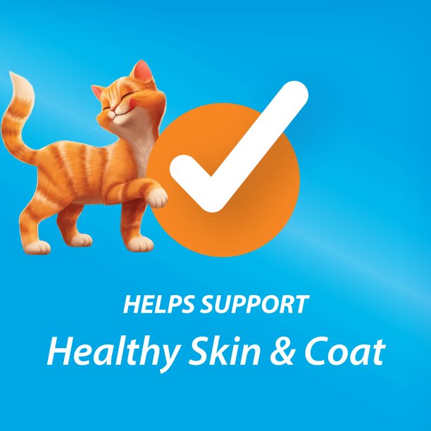 Pet Food in 13 Pound