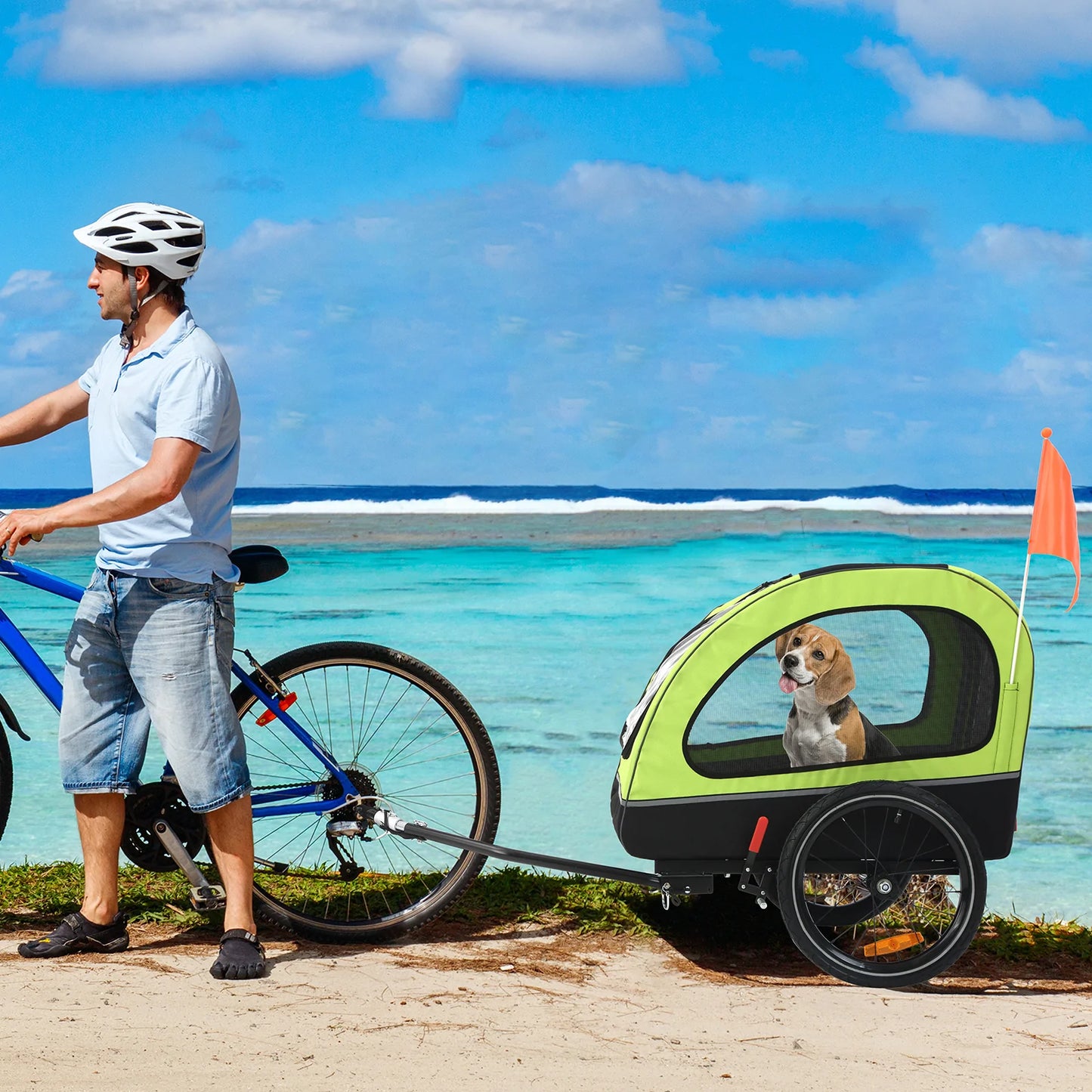 Bicycle Trailer for Small and Medium Pets in Green