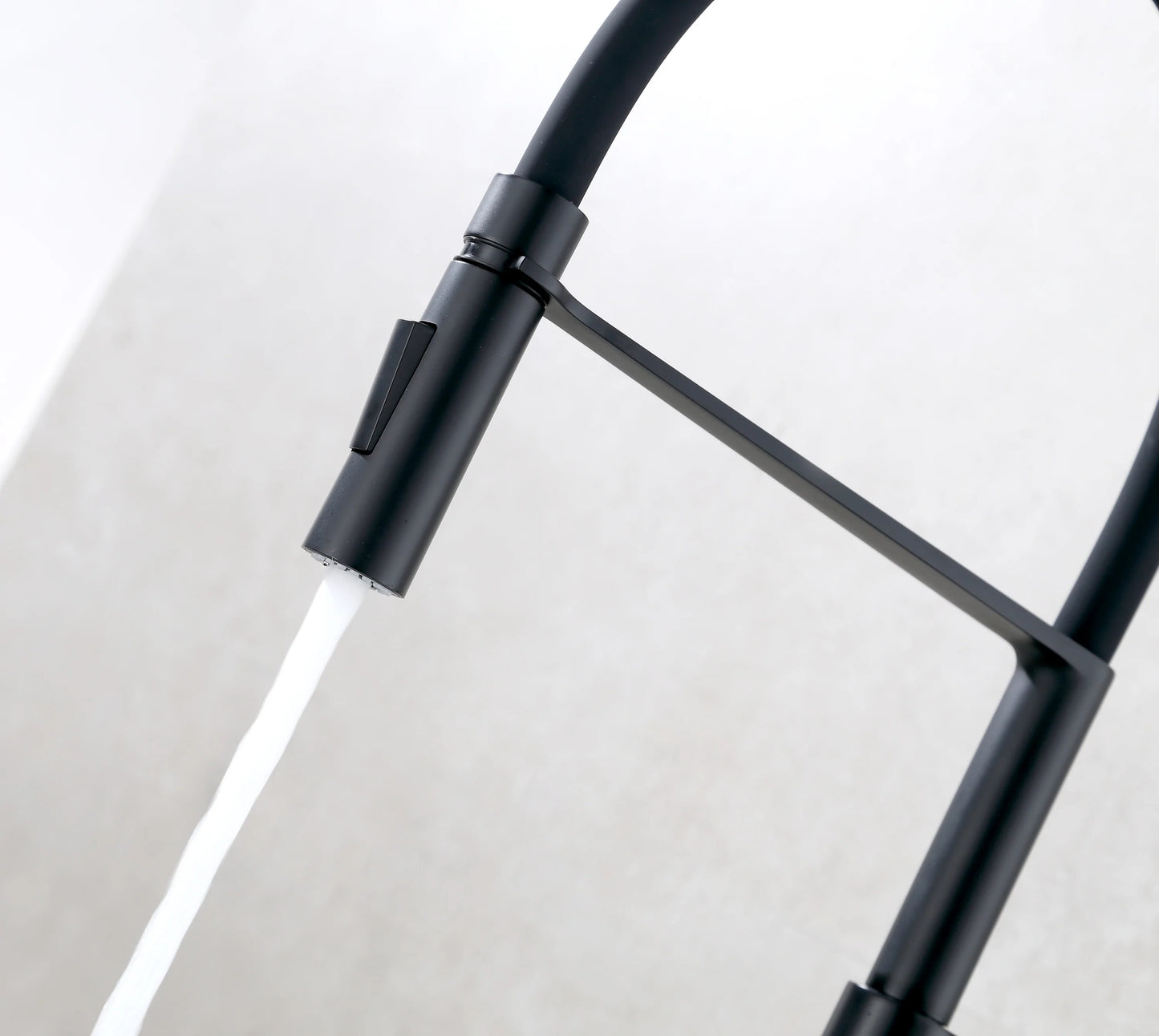 Kitchen Faucet Single Handle in Black