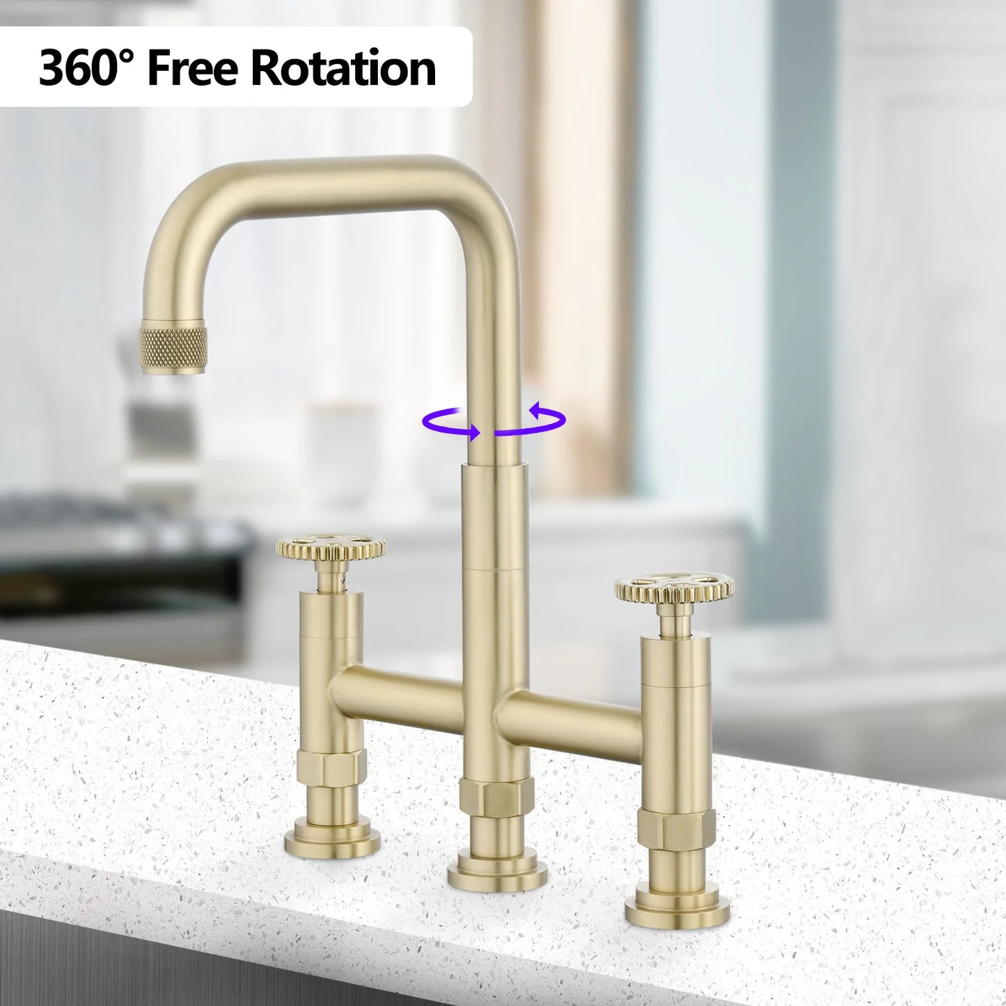 Bridge Kitchen Faucet with Side Spray with Double Handle