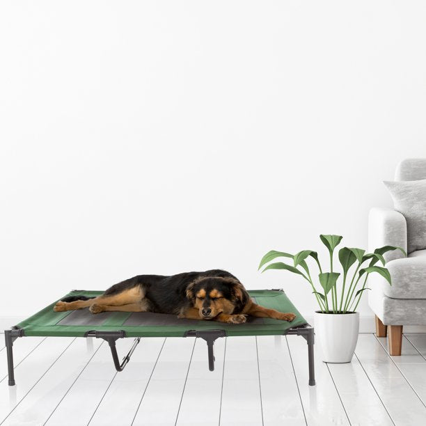 Portable Bed for Pets in Green