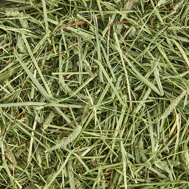 All Natural Timothy Hay 48 ounce