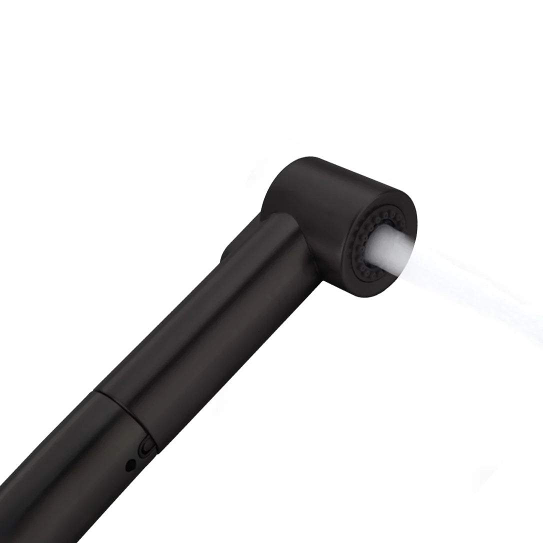 Kitchen Faucet Pull Out Single Handle in Matte Black