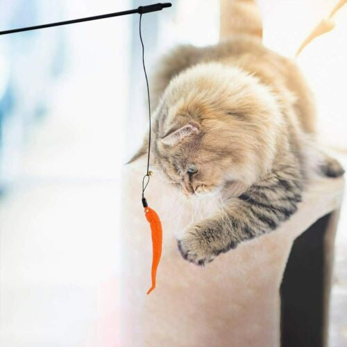 Feather Wand Interactive Pet Toy