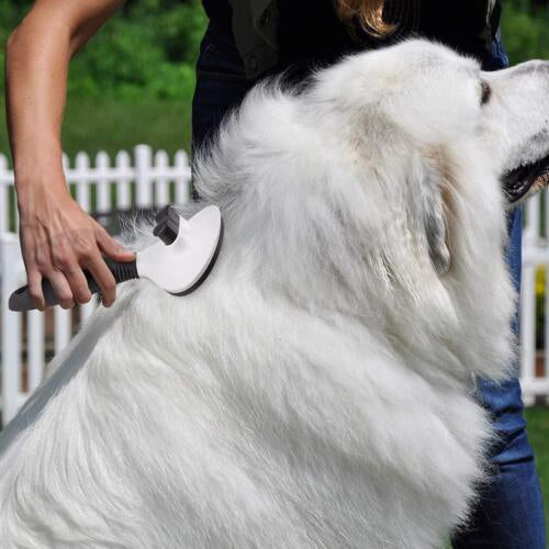 Self Cleaning Slicker Pet Brush