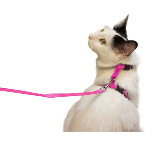 Cat Leash and Harness Set