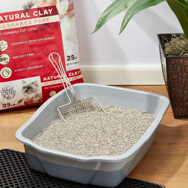 Clay in kitty litter best sale