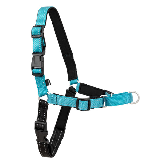 Easy Walk Dog Harness in Small Ocean Color