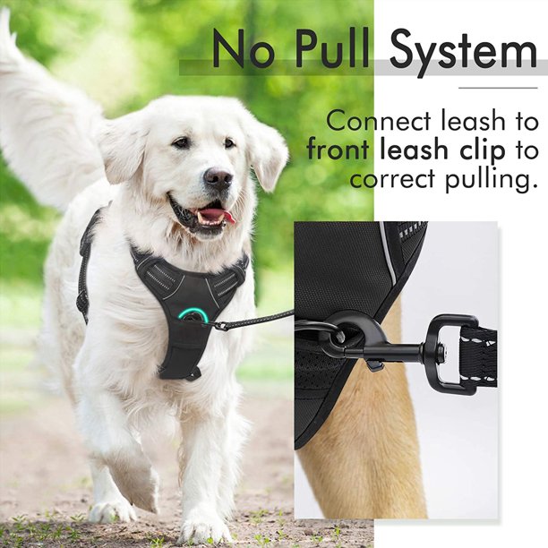 Dog Harness Small in Black