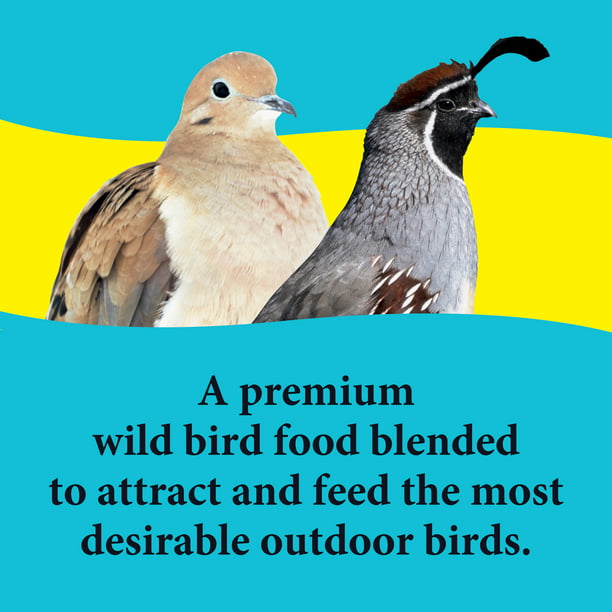 Bird Food for Dove and Quail 6 lb