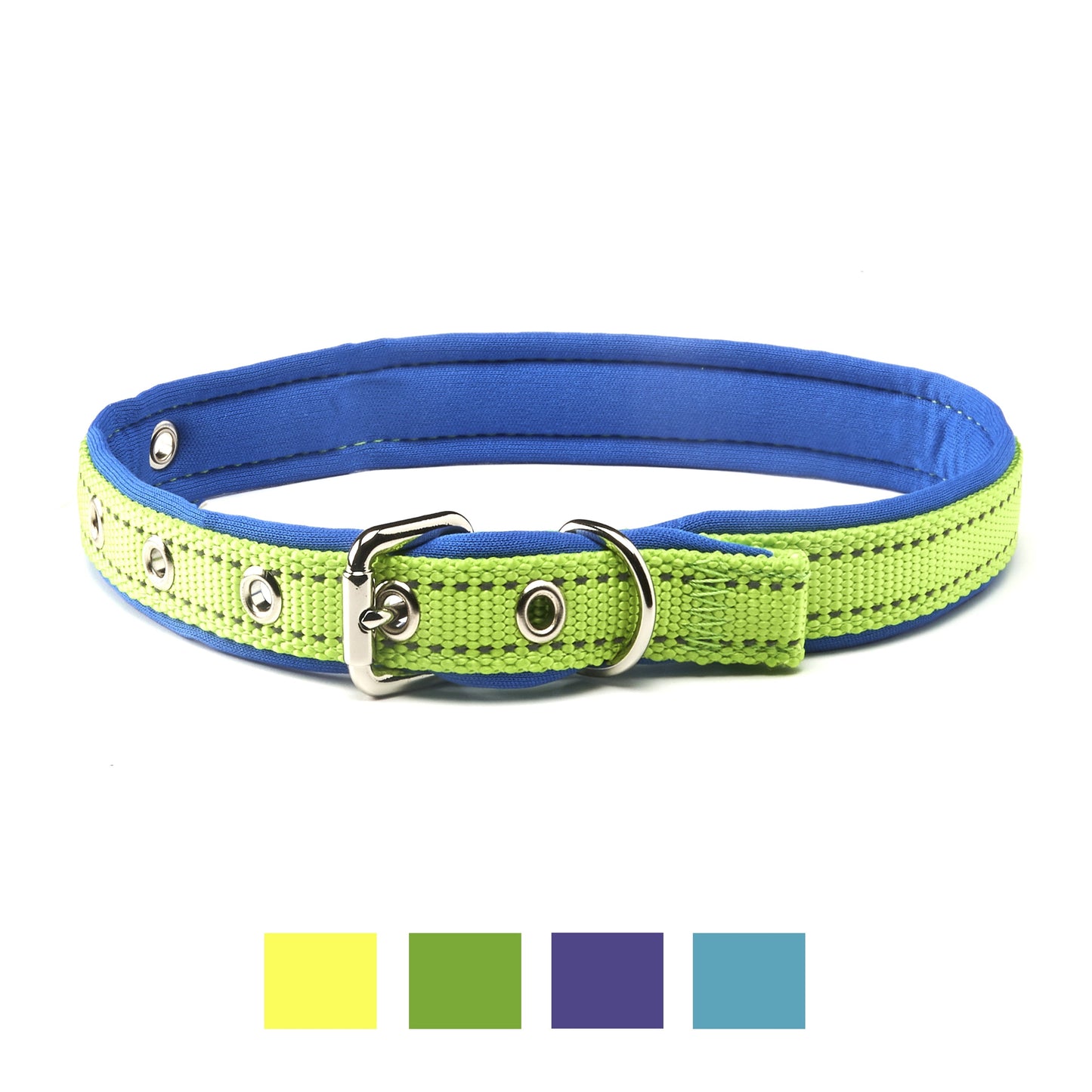 Dog Collar in Blue Medium