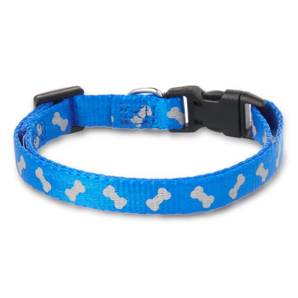 Dog Collar in Blue Small Size