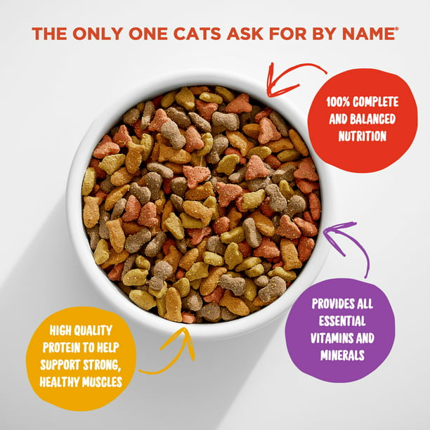 Dry Cat Food 16 Pounds