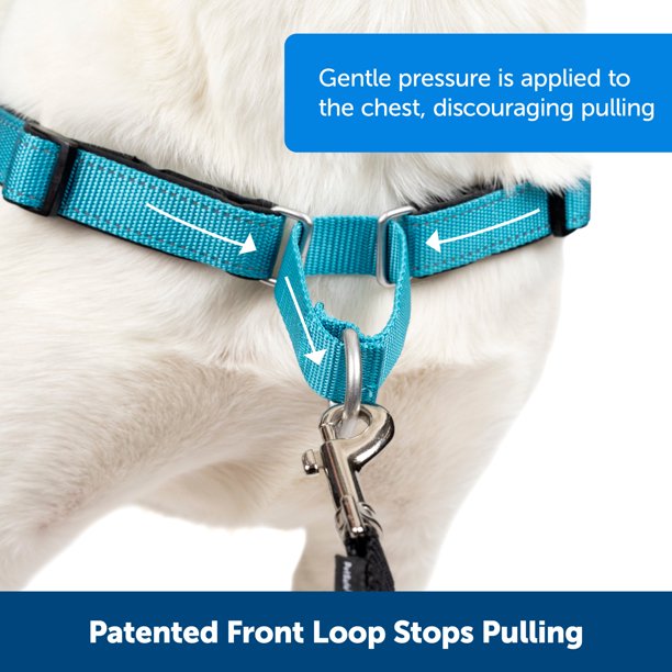 Easy Walk Dog Harness No-Pull Dog Training in Large Ocean Color