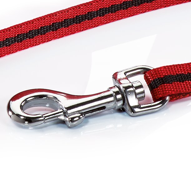 Dog Leash16 ft in Small Red