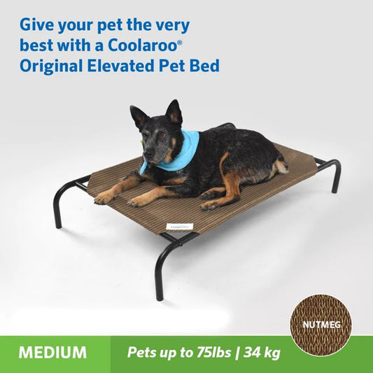 Elevated Pet Dog Bed Medium Nutmeg