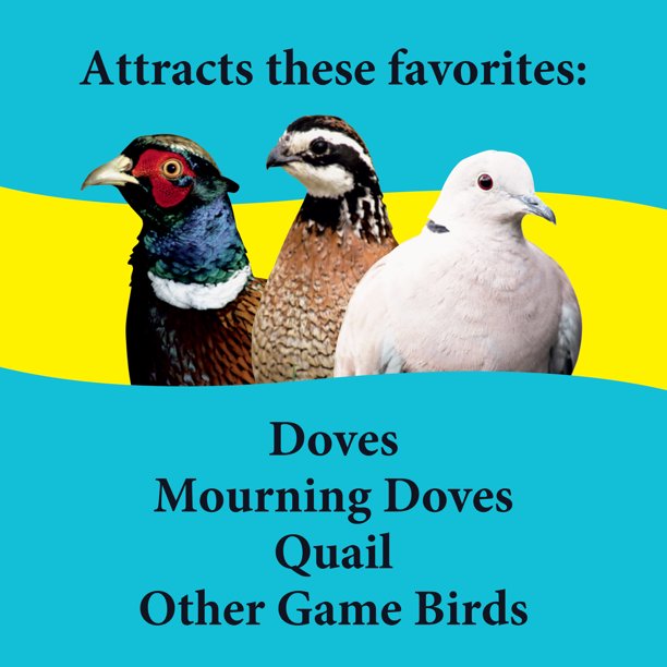 Bird Food for Dove and Quail 6 lb