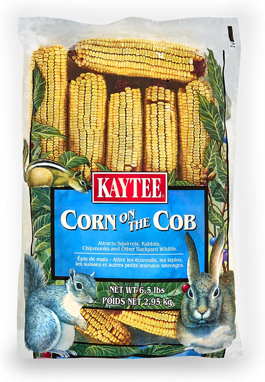 Corn on the Cob Squirrel and Critter Feed