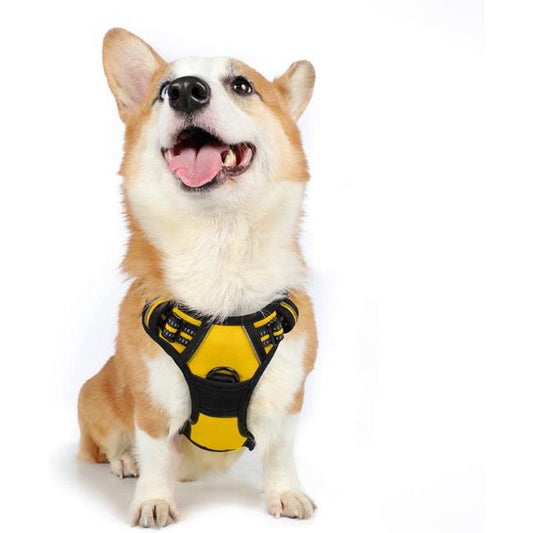 Dog Harness Medium in Lemon Yellow