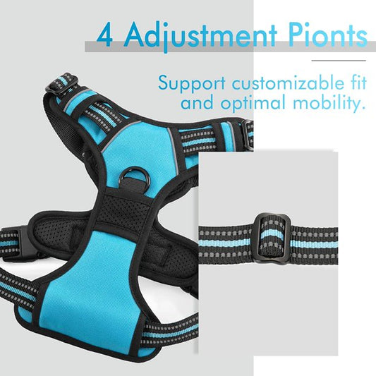 Dog Harness Large in Blue