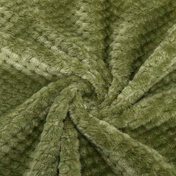 Blanket Soft Cozy Throw 27.5x39 Inches in Green