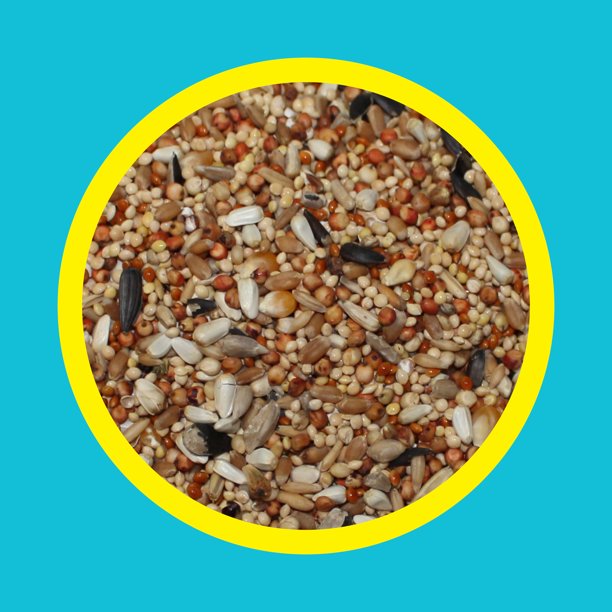 Bird Food for Dove and Quail 6 lb