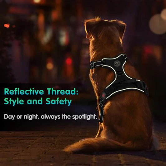 Pets Reflective Vest Harness in Medium Black